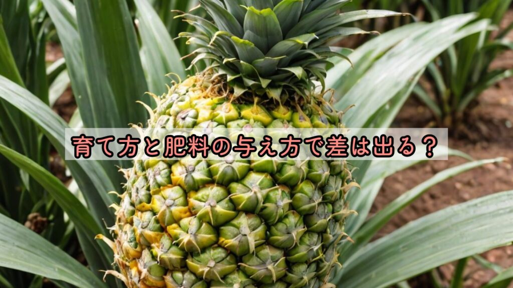 育て方と肥料の与え方で差は出る?