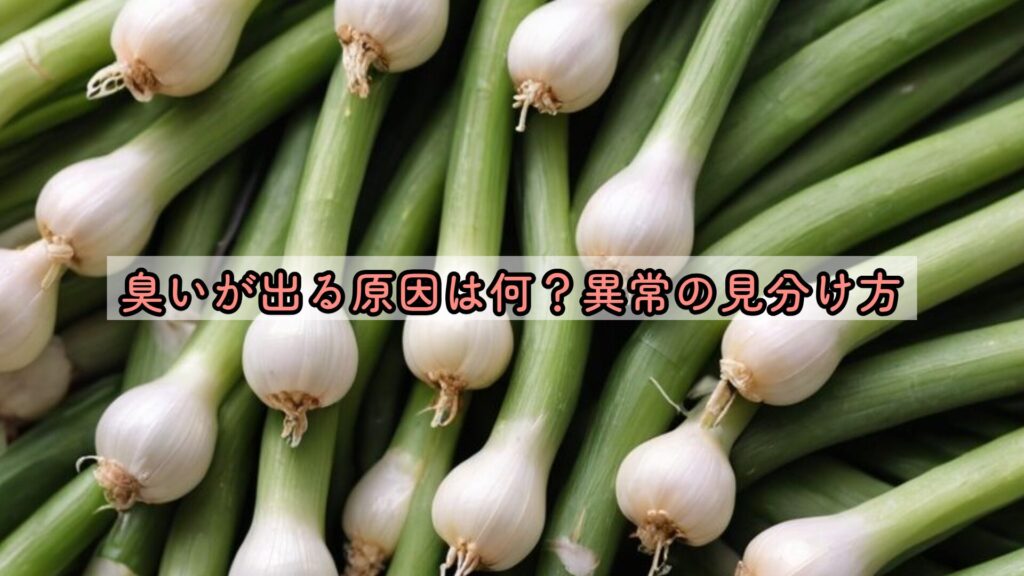 臭いが出る原因は何?異常の見分け方