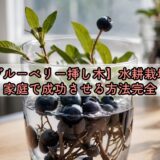 【ブルーベリー挿し木】水耕栽培を家庭で成功させる方法完全