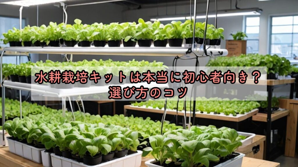 水耕栽培キットは本当に初心者向き？選び方のコツ