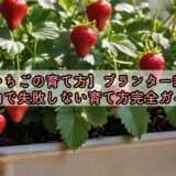 【いちごの育て方】プランター栽培、室内で失敗しない育て方完全ガイド