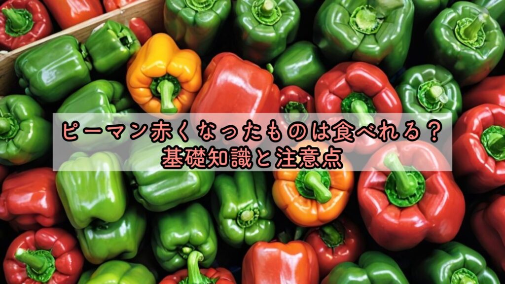 ピーマン赤くなったものは食べれる？基礎知識と注意点