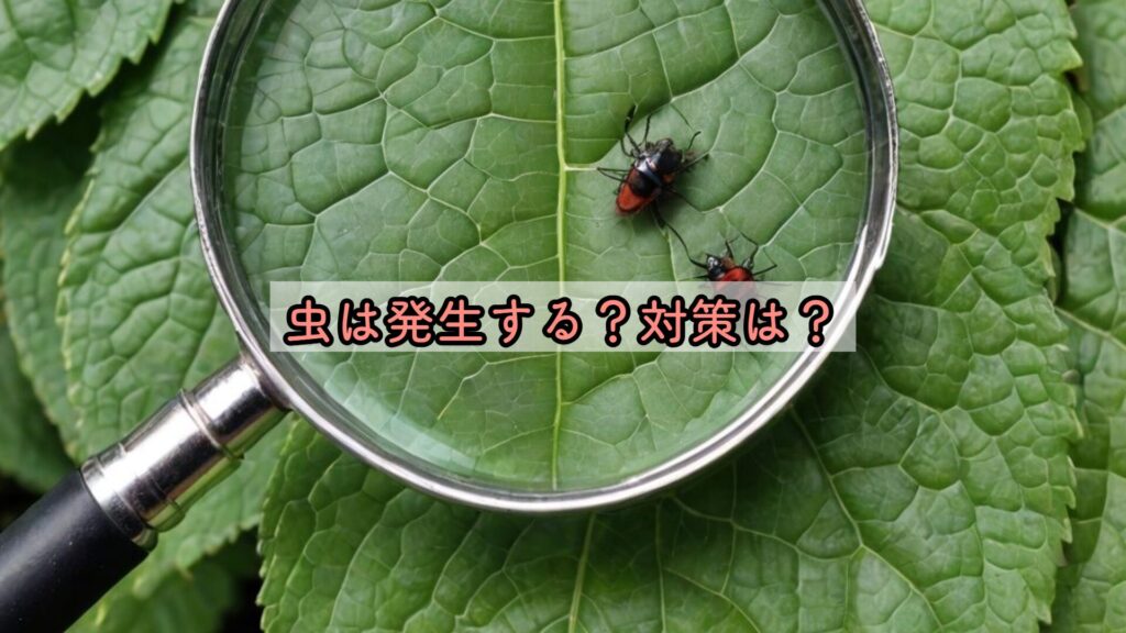 虫は発生する？対策は？