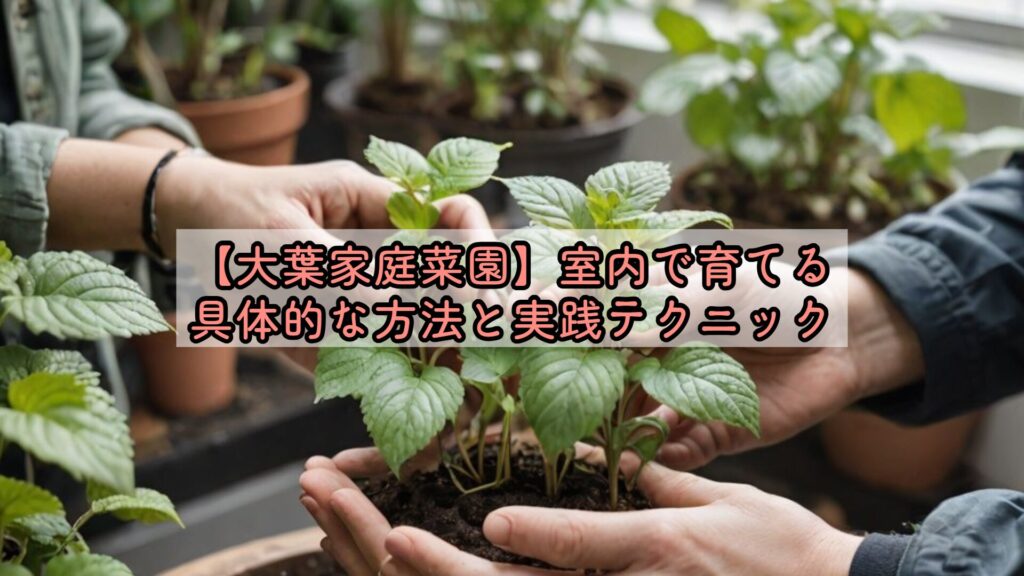 【大葉家庭菜園】室内で育てる具体的な方法と実践テクニック