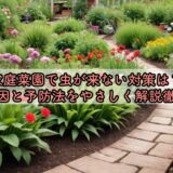 家庭菜園で虫が来ない対策は？原因と予防法をやさしく解説徹底