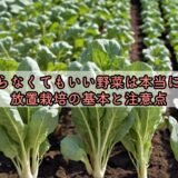 水をやらなくてもいい野菜は本当に育つ？放置栽培の基本と注意点