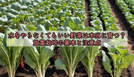 水をやらなくてもいい野菜は本当に育つ？放置栽培の基本と注意点