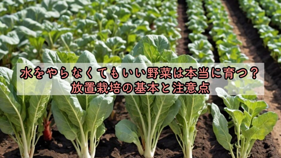 水をやらなくてもいい野菜は本当に育つ？放置栽培の基本と注意点