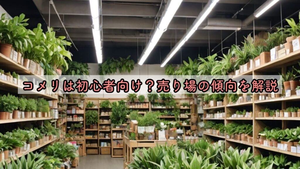 コメリは初心者向け?売り場の傾向を解説