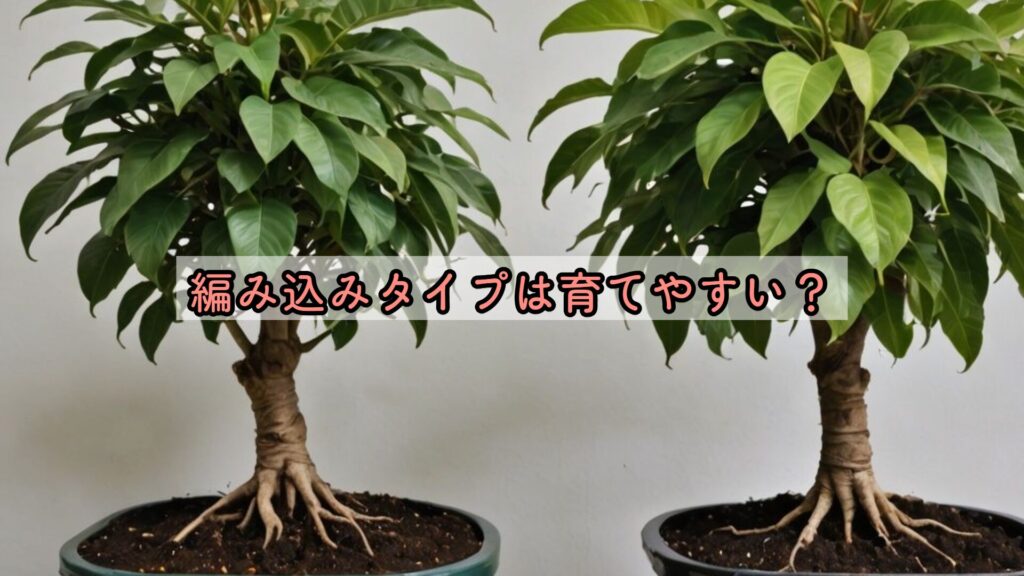 編み込みタイプは育てやすい?