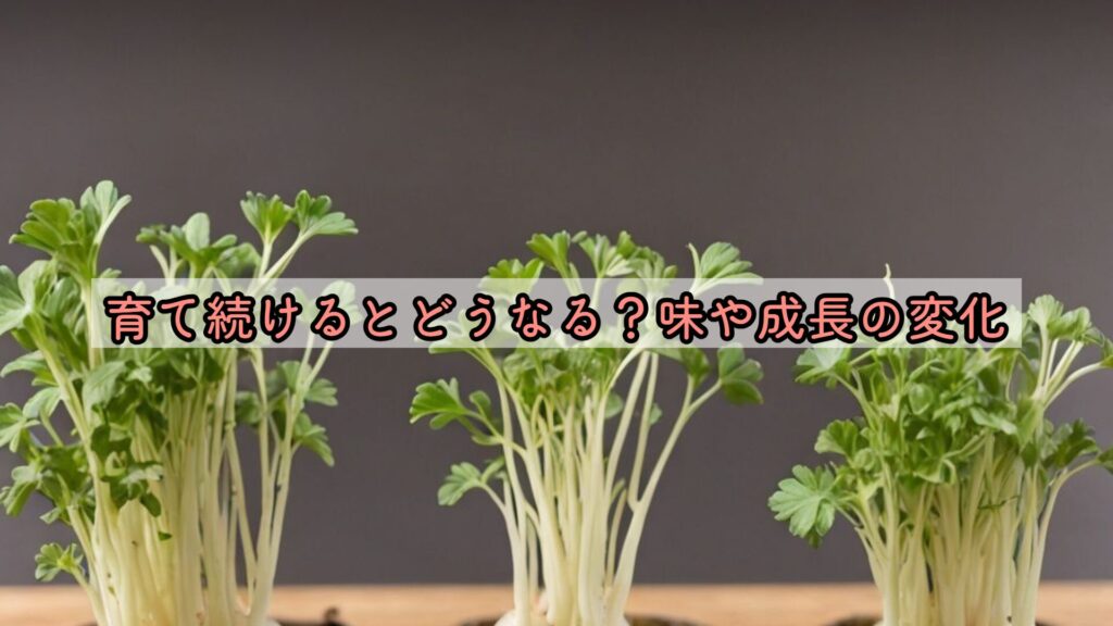 育て続けるとどうなる?味や成長の変化