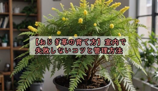 【おじぎ草の育て方】室内で失敗しないコツと管理方法