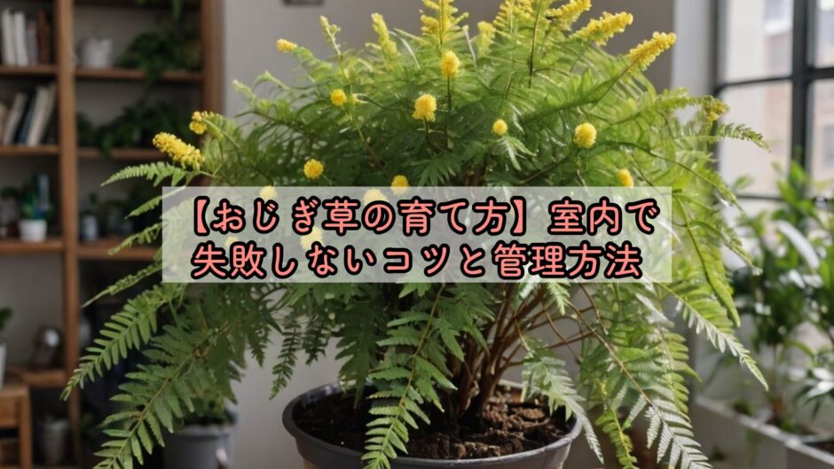 【おじぎ草の育て方】室内で失敗しないコツと管理方法