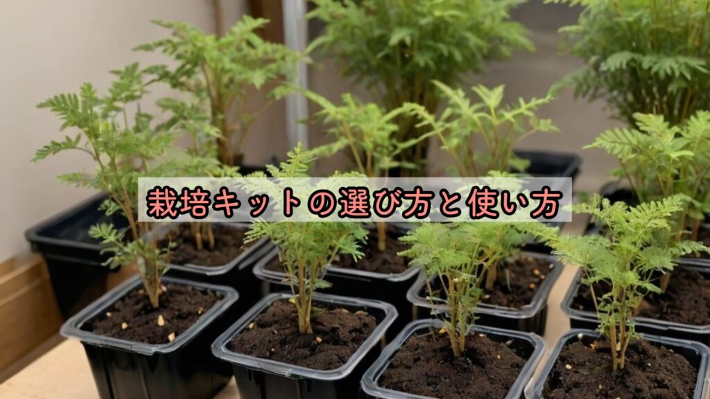 栽培キットの選び方と使い方