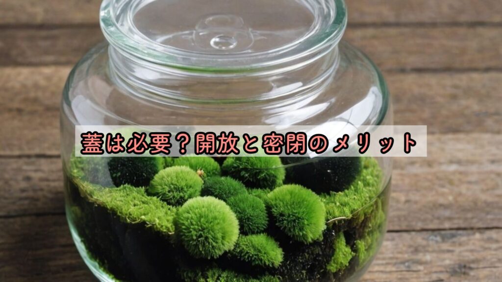 蓋は必要？開放と密閉のメリット
