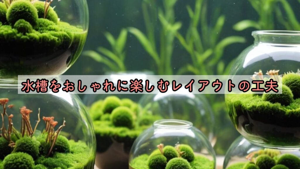 水槽をおしゃれに楽しむレイアウトの工夫