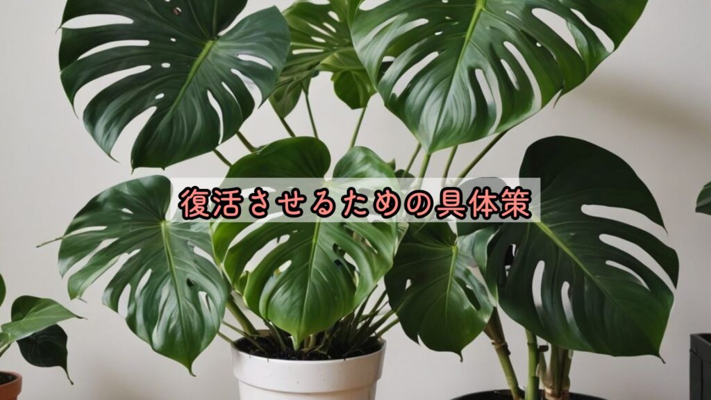 復活させるための具体策