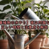 観葉植物の水やり、夜は問題ない?正しい時間と注意点を解説