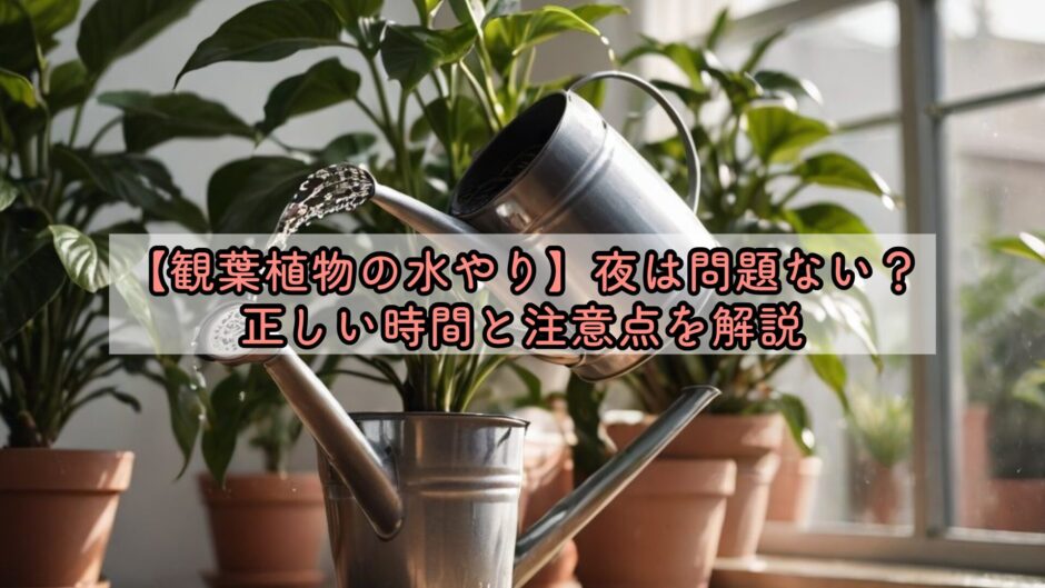 観葉植物の水やり、夜は問題ない？正しい時間と注意点を解説