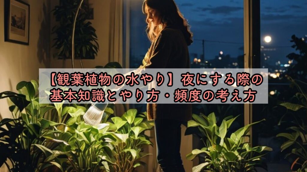 【観葉植物の水やり】夜にする際の基本知識とやり方・頻度の考え方