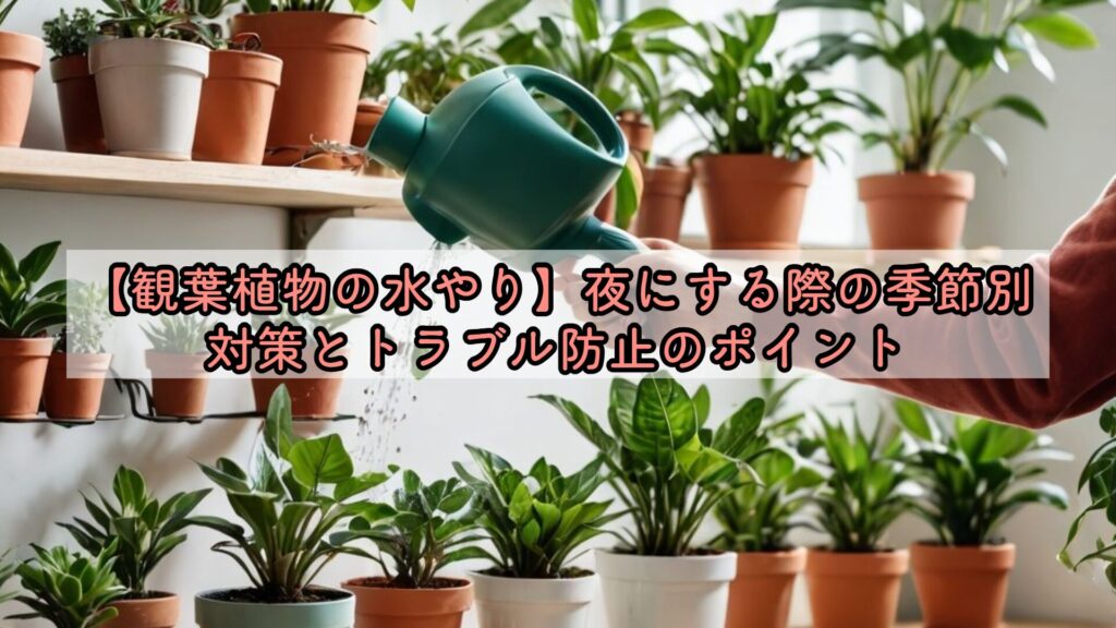 【観葉植物の水やり】夜にする際の季節別対策とトラブル防止のポイント