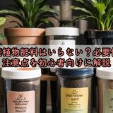 観葉植物肥料はいらない？必要性と注意点を初心者向けに解説