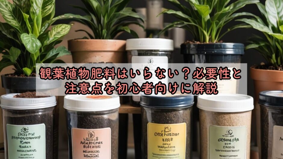 観葉植物肥料はいらない？必要性と注意点を初心者向けに解説
