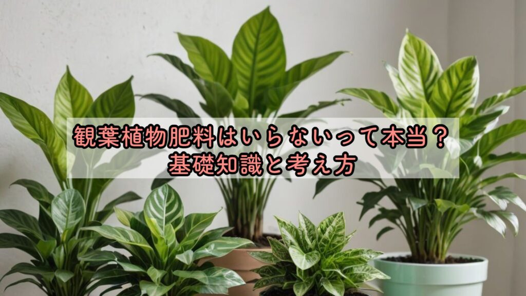 観葉植物肥料はいらないって本当？基礎知識と考え方