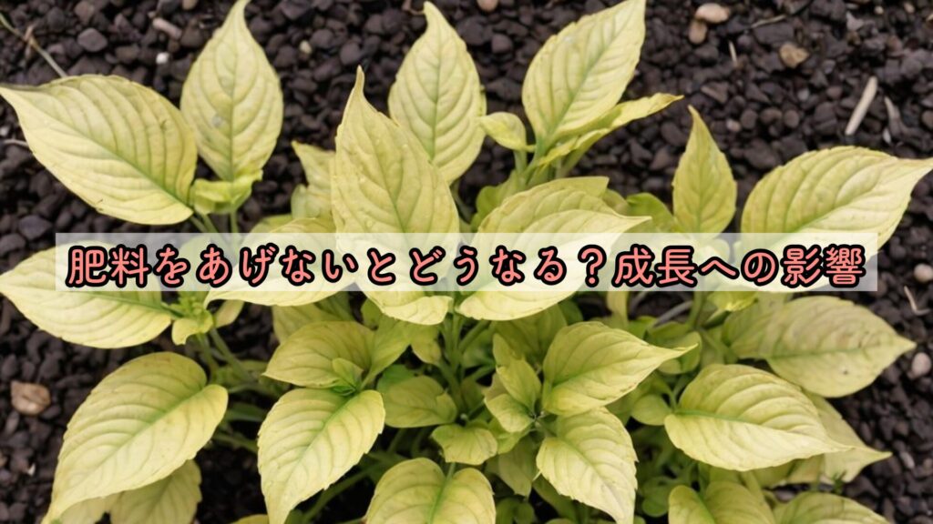 肥料をあげないとどうなる？成長への影響