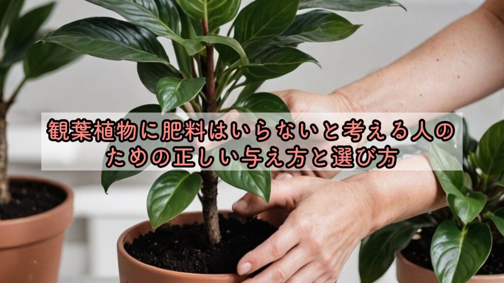 観葉植物に肥料はいらないと考える人のための正しい与え方と選び方