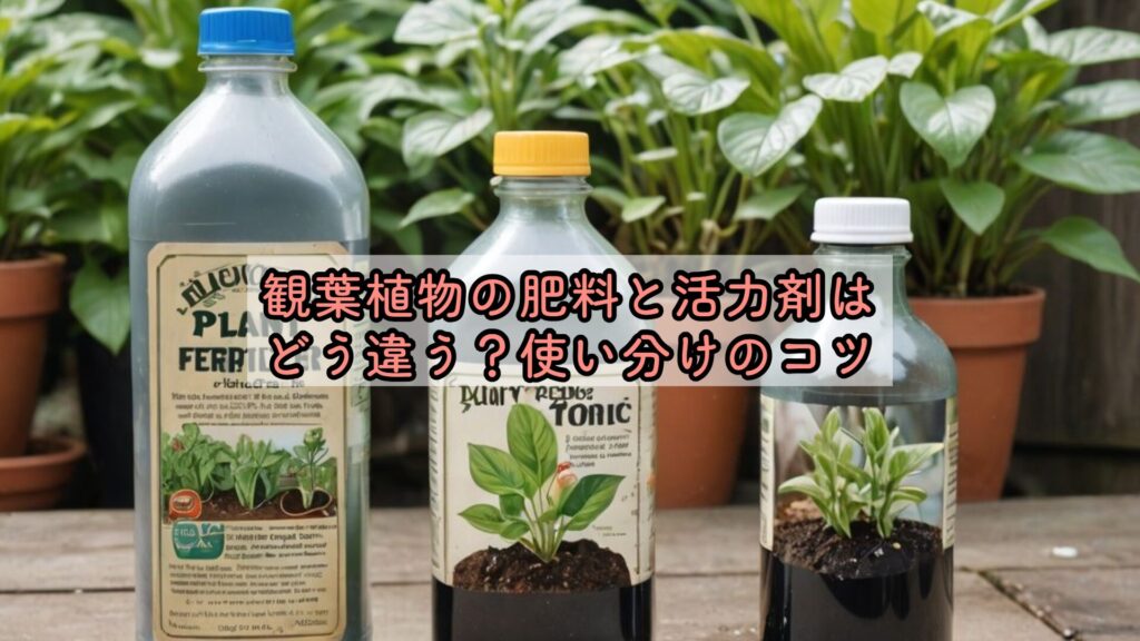 観葉植物の肥料と活力剤はどう違う？使い分けのコツ