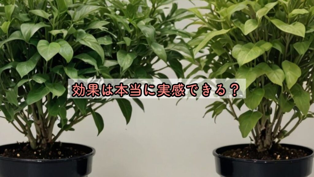 効果は本当に実感できる？