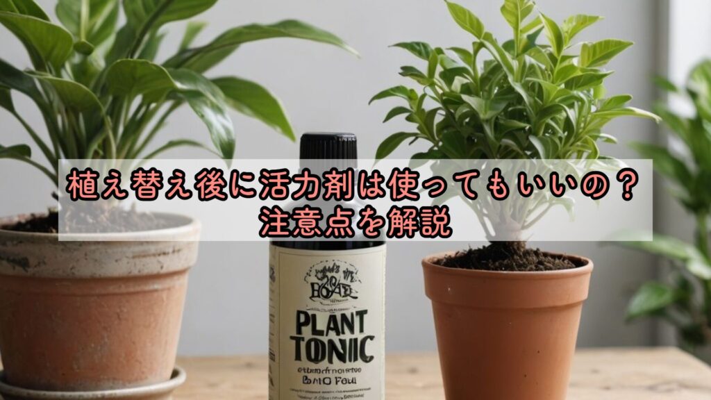 植え替え後に活力剤は使ってもいいの？注意点を解説