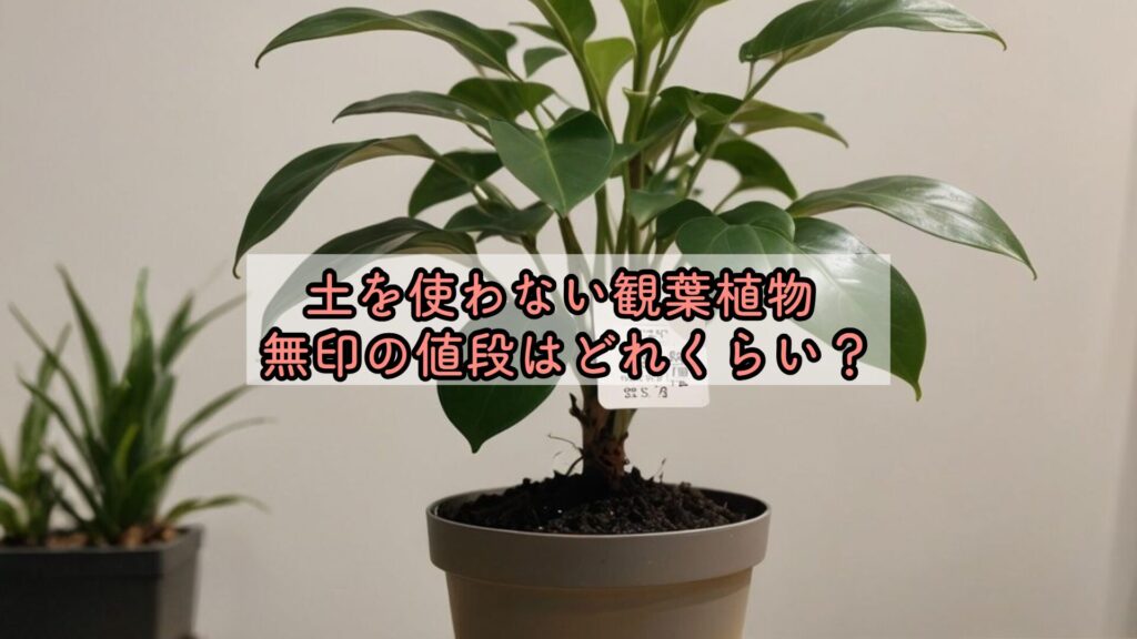 土を使わない観葉植物 無印の値段はどれくらい？