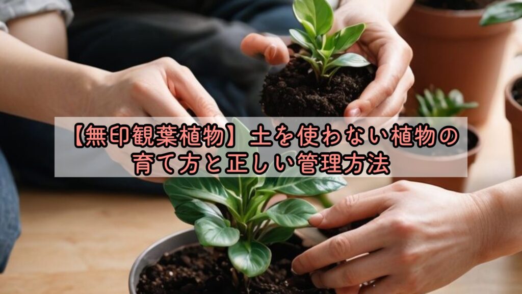 【無印観葉植物】土を使わない植物の育て方と正しい管理方法