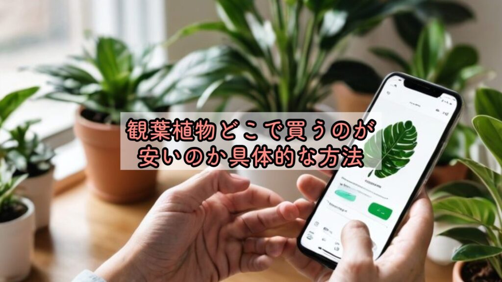 観葉植物どこで買うのが安いのか具体的な方法