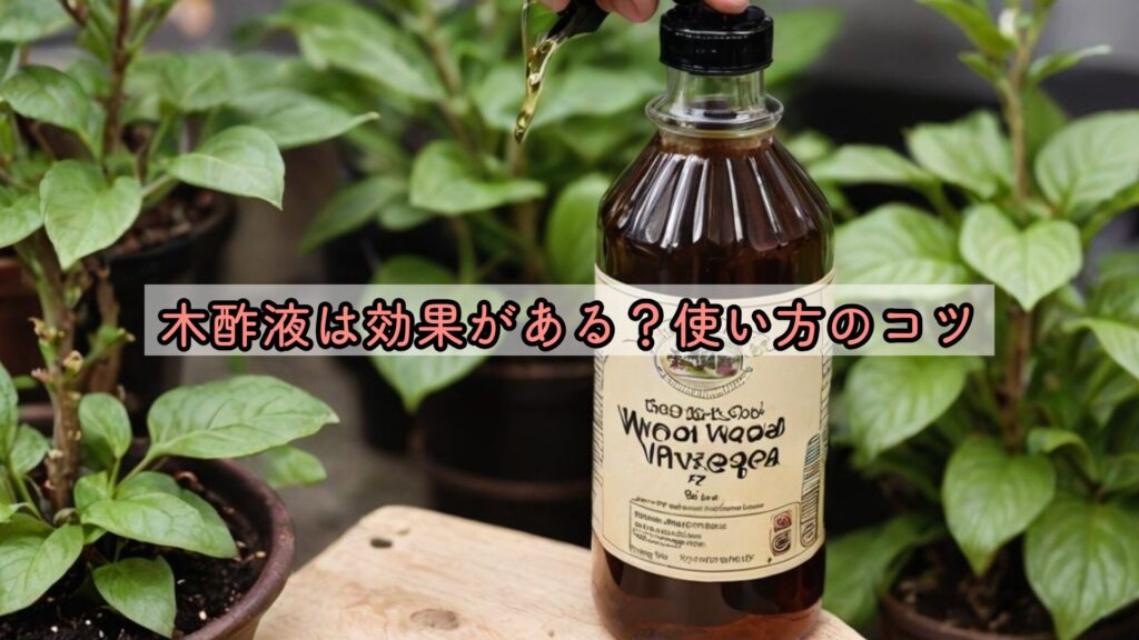 木酢液は効果がある？使い方のコツ