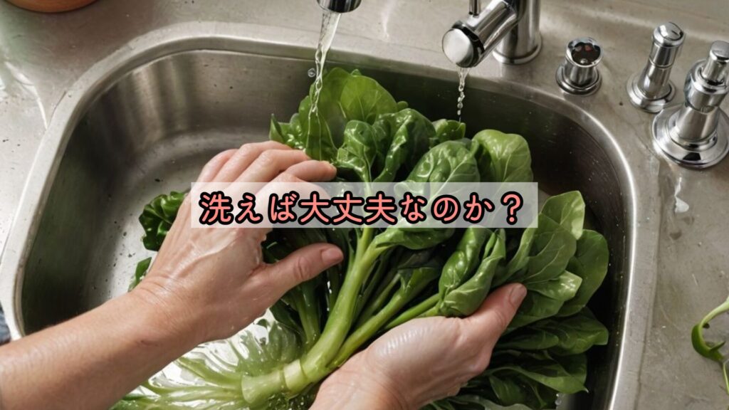 洗えば大丈夫なのか?