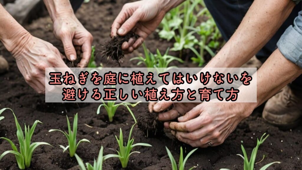 玉ねぎを庭に植えてはいけないを避ける正しい植え方と育て方