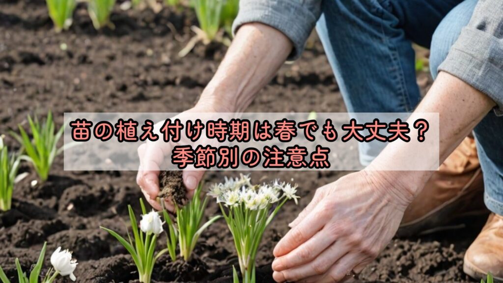 苗の植え付け時期は春でも大丈夫?季節別の注意点