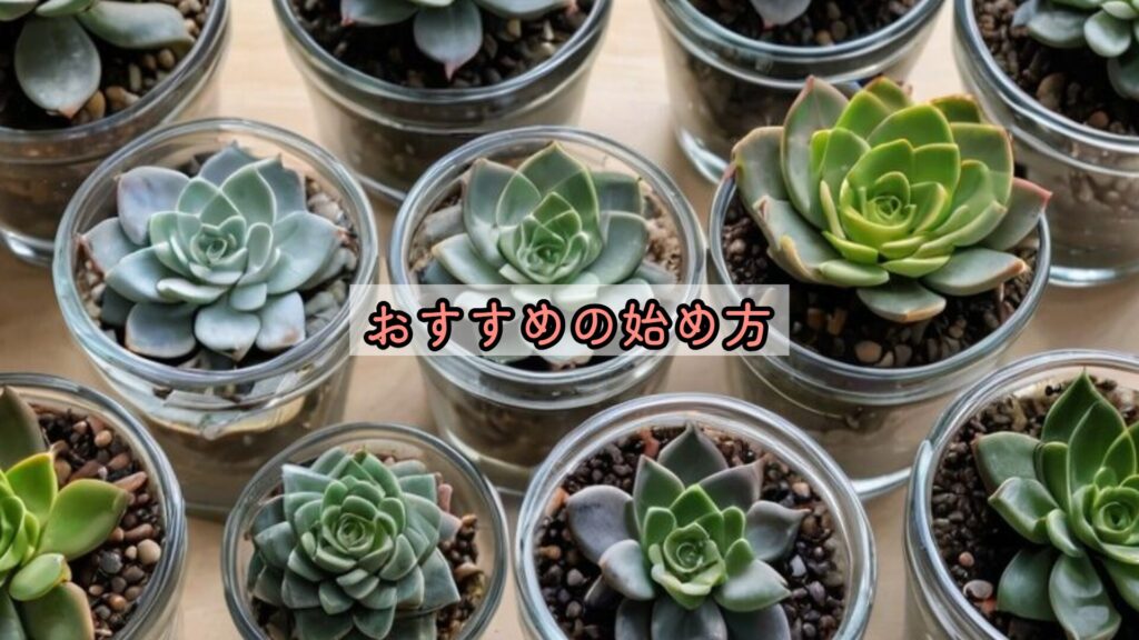 おすすめの始め方