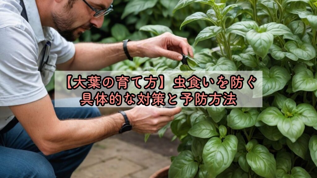 【大葉の育て方】虫食いを防ぐ具体的な対策と予防方法