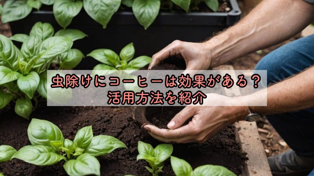 虫除けにコーヒーは効果がある？活用方法を紹介