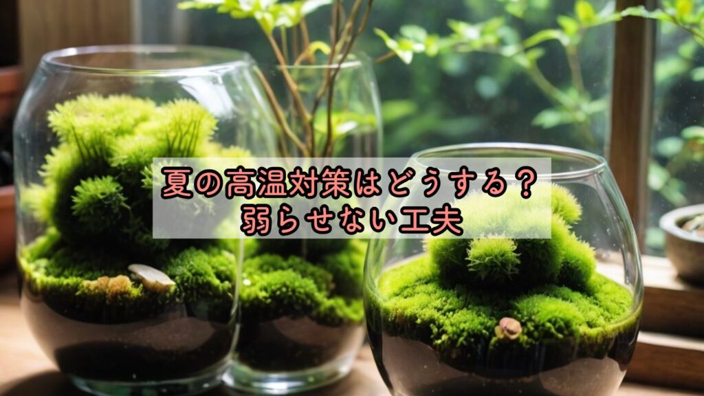 夏の高温対策はどうする？弱らせない工夫