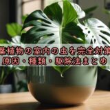 観葉植物の室内の虫を完全対策！原因・種類・駆除法まとめ