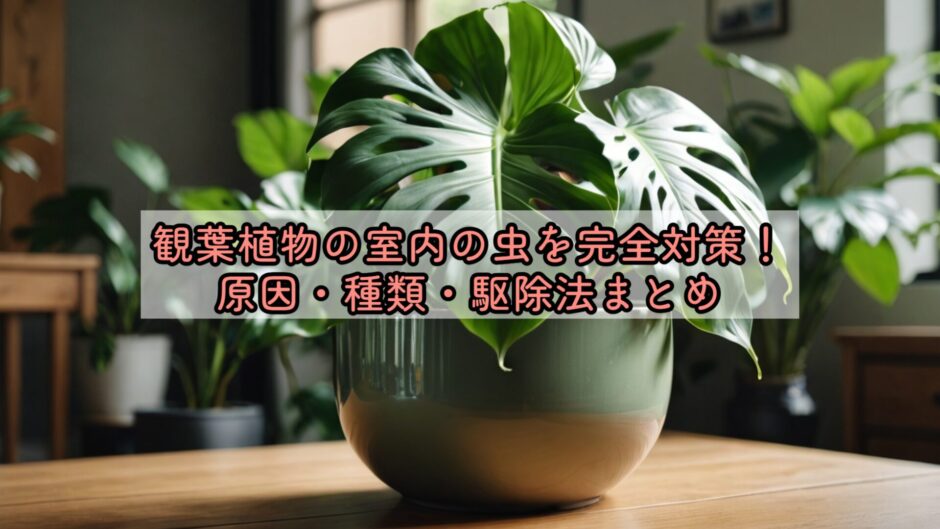 観葉植物の室内の虫を完全対策！原因・種類・駆除法まとめ