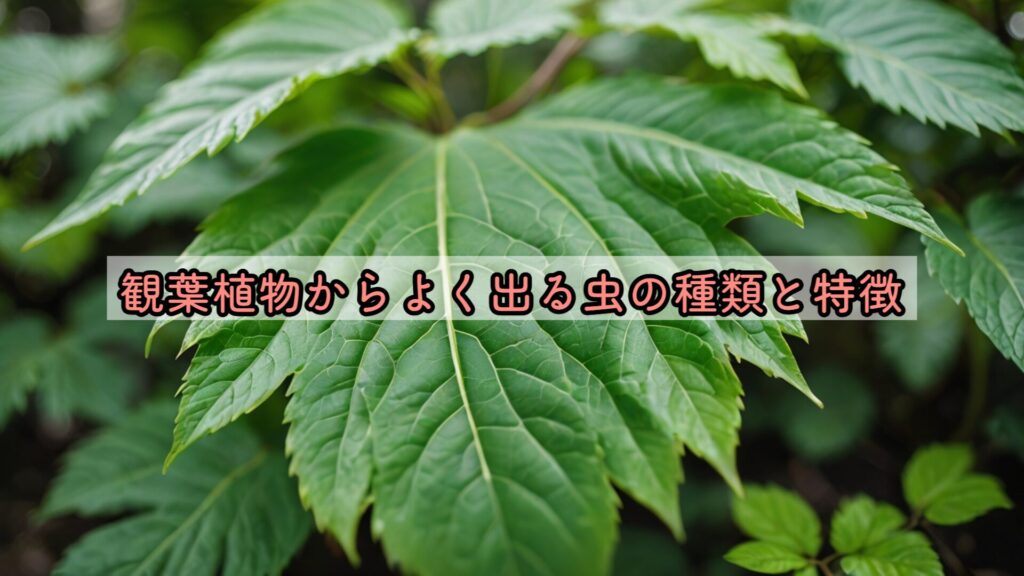 観葉植物からよく出る虫の種類と特徴