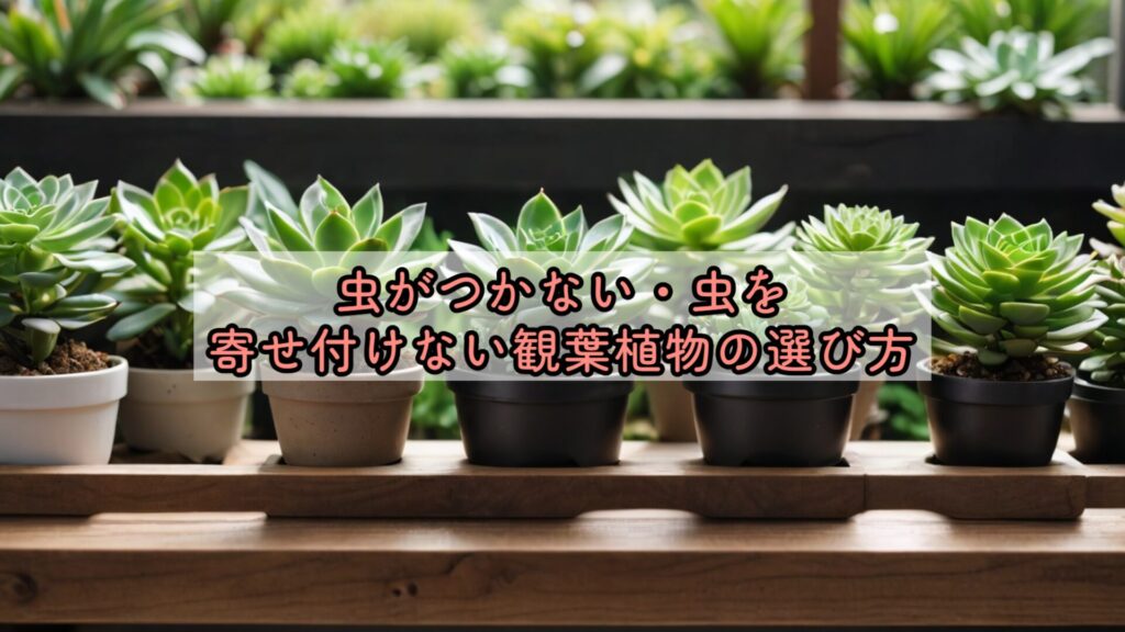 虫がつかない・虫を寄せ付けない観葉植物の選び方