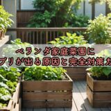 ベランダ家庭菜園にゴキブリが出る原因と完全対策ガイド