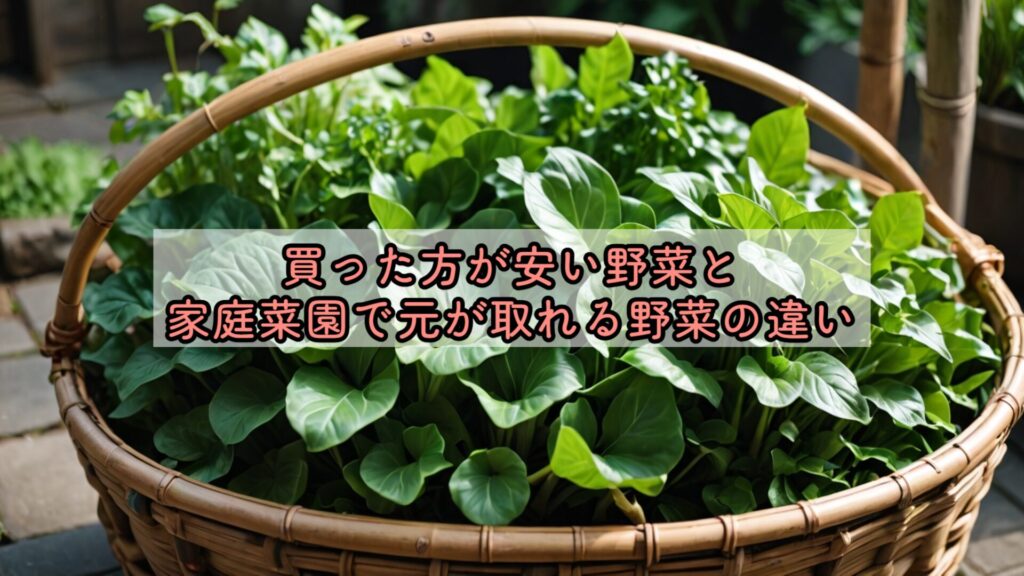 買った方が安い野菜と家庭菜園で元が取れる野菜の違い